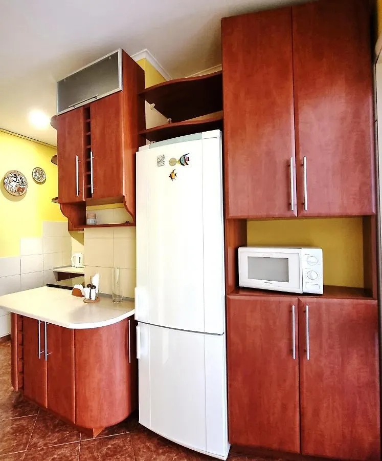 Cozy Apartment Lviv